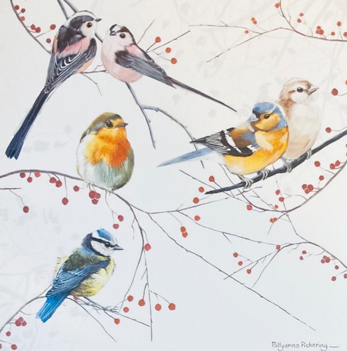 Mixed birds blank - birds,