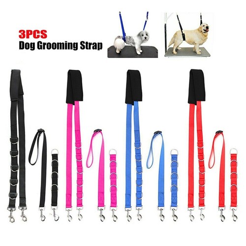 Band dog collar - band,