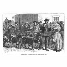 LONDON Pyrenean Goats: Selling the Milk - Antique Print 1882