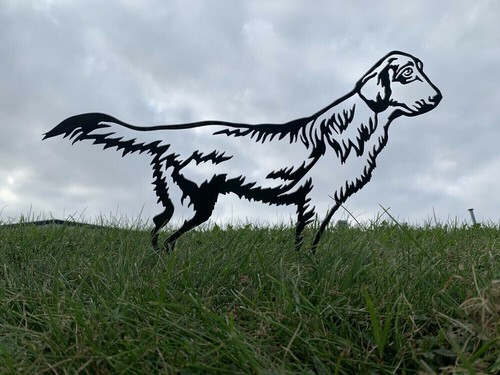 Flat coated retriever metal - coated,