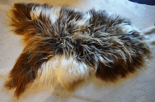 Icelandic sheepskin rug - icelandic,