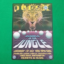 Rave Flyer - A4 - Pure X -