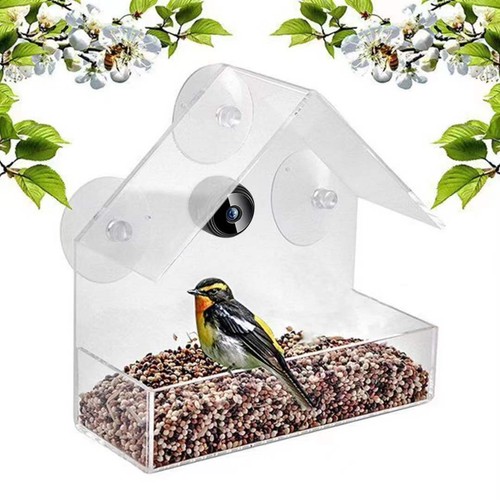 Smart bird feeder with - feeder, camera
