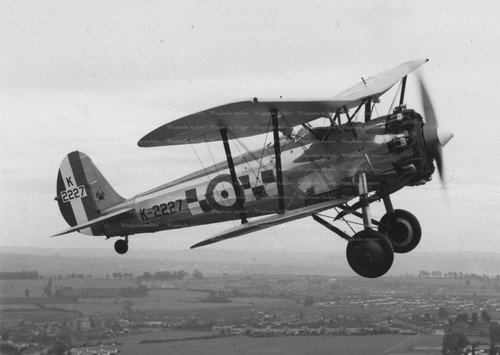 Bristol bulldog aviation - bulldog,