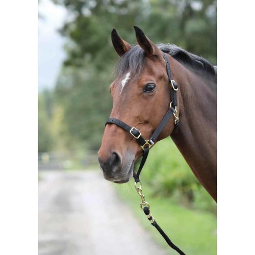 Shires control headcollar - shires, in