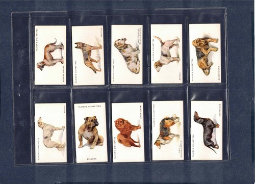 1931 john player son - son's, dogs