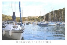 Ilfracombe Harbour Devon UK