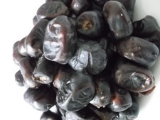 10  IRANIAN DATE PALM SEEDS   