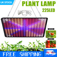 2000W LED Grow Light for
