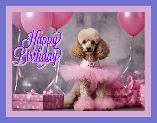 Tutu poodle happy birthday - tutu,