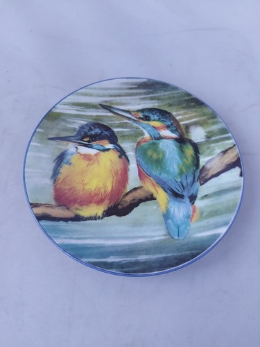 Royal kendal bird - royal, kendal,bird