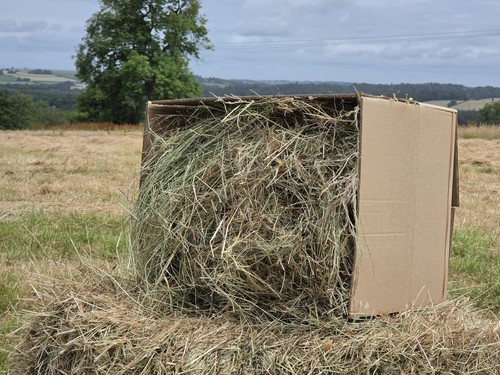 Meadow hay 3kgs - hay,