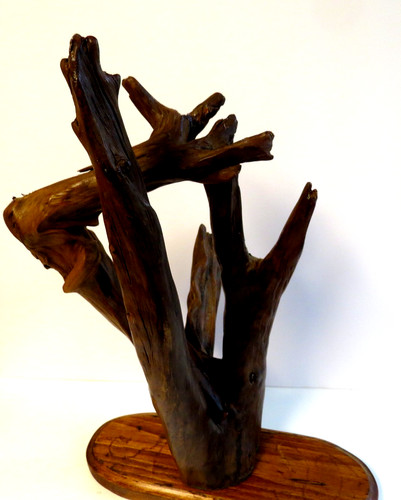 X 8 driftwood - 8",
