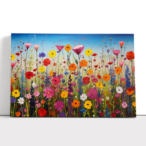 Wildflowers floral colour - wildflowers,