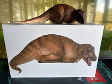 PNSO - Dinosaur Museum 10 -