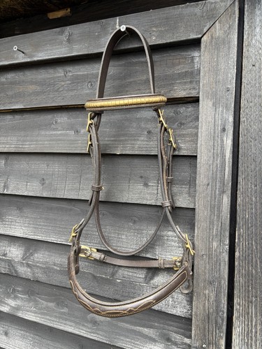 Brown inhand showing bridle - showing,
