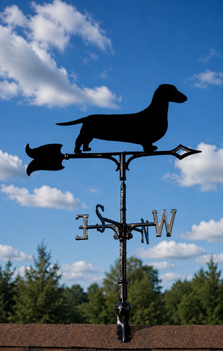 Dachshund weathervane - dachshund,