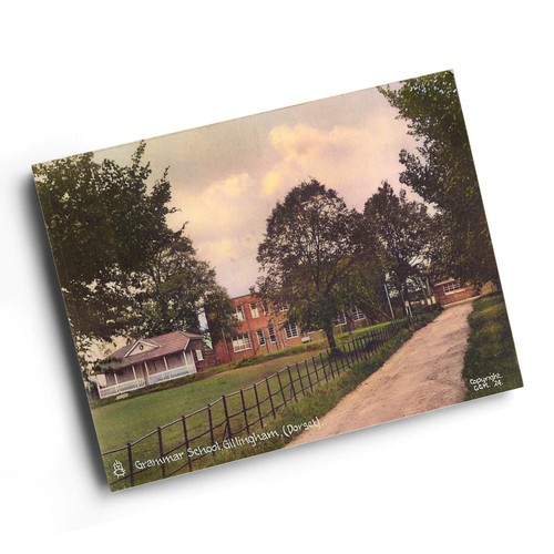Print vintage dorset - print,