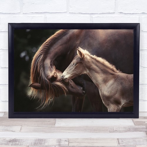 The bond horses mare foal - horses,