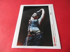 P!NK PINK Alecia Beth Moore