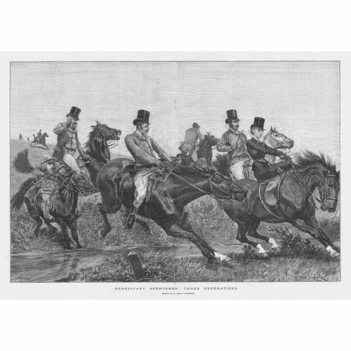 Fox hunting three - hunting,