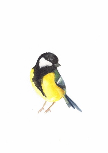 Great tit original watercolour - great,
