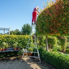 Ex-Demo A12-3 Henchman Fully Adjustable Tripod Ladder - 12/ 3.6m Ladder