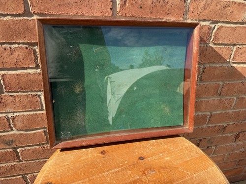 Vintage empty taxidermy - vintage,