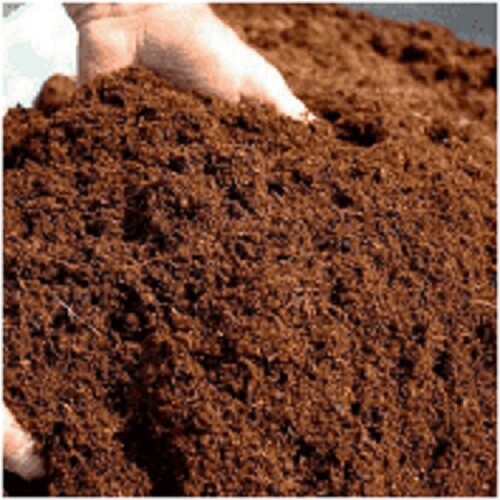 Coconut coir coco - coconut,