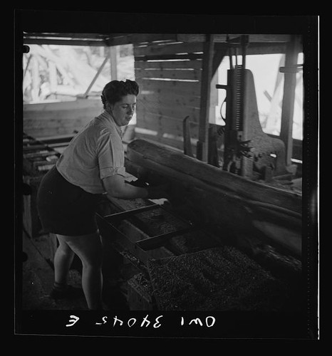 Photo 1930s woman - woman, operating