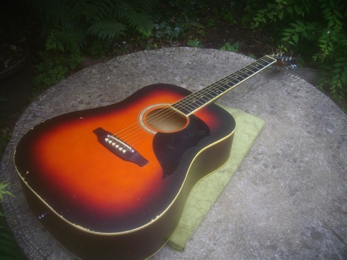 Eko western acoustic - eko,