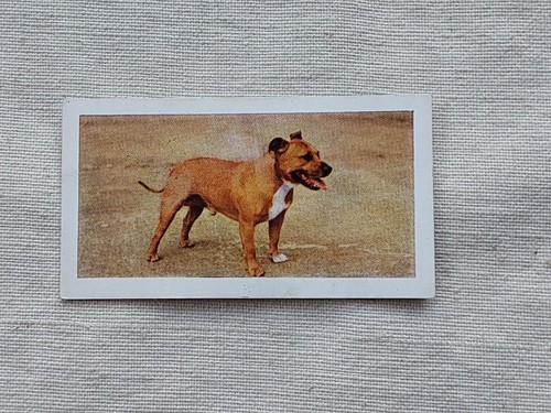 Hornimans tea dogs - 1961, #24