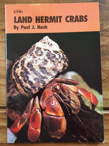 Land hermit crabs - crabs, by