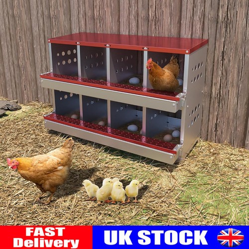 Holes chicken nesting boxes - chicken,