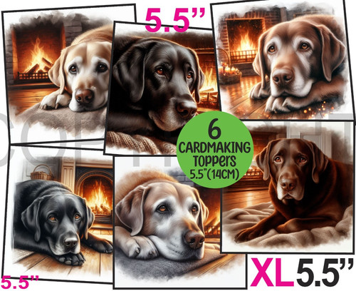 Card toppers 5 - xl,