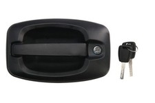 BLIC 6010-07-038417PP Door