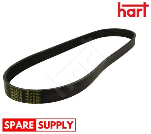 Ribbed belt for renault - for,