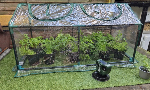 Mini garden greenhouse - mini,