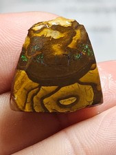 38cts Australian Boulder Rough