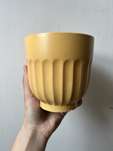 Custard yellow tumeric - tumeric, retro
