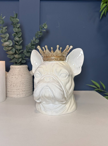 White british bulldog with - white,