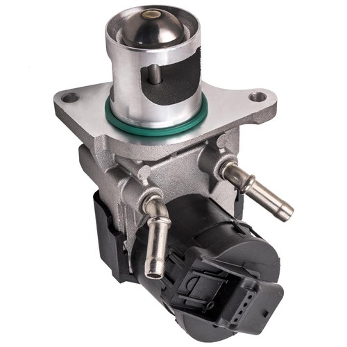 Agr egr valve for - valve, 1