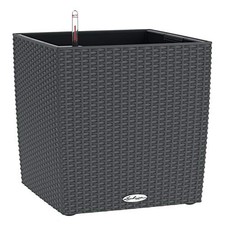 Lechuza Self Watering Plant