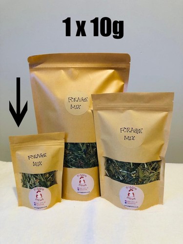 Forage mix for guinea pigs - mix,