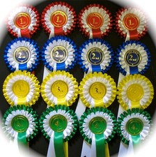 HORSE Show Rosettes 5 x 1st to 4th 2 tiers SHOW NAME INCLUDED,