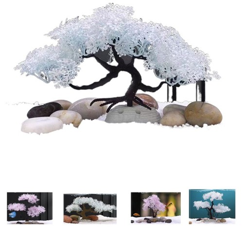 Beautiful aquarium fish tank - fish,