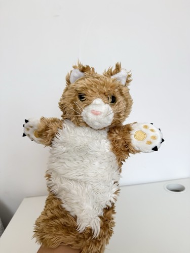 Large ginger cat - cat, puppet