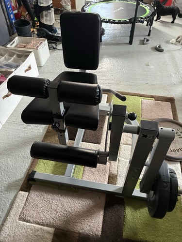 Leg extension workout machine - workout,