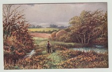 Tuck Oilette Postcard