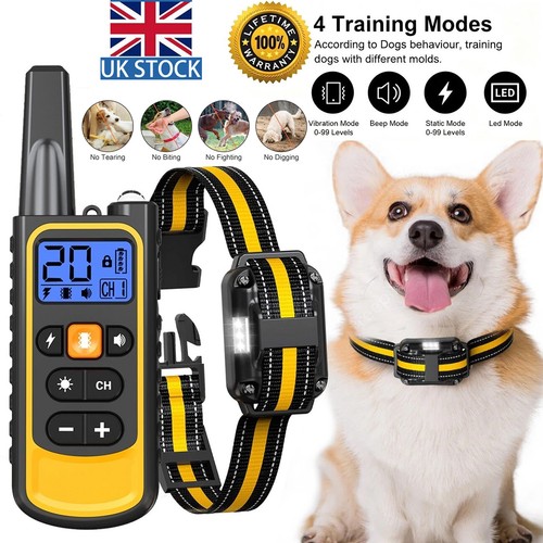 800m electric pet - 800m,